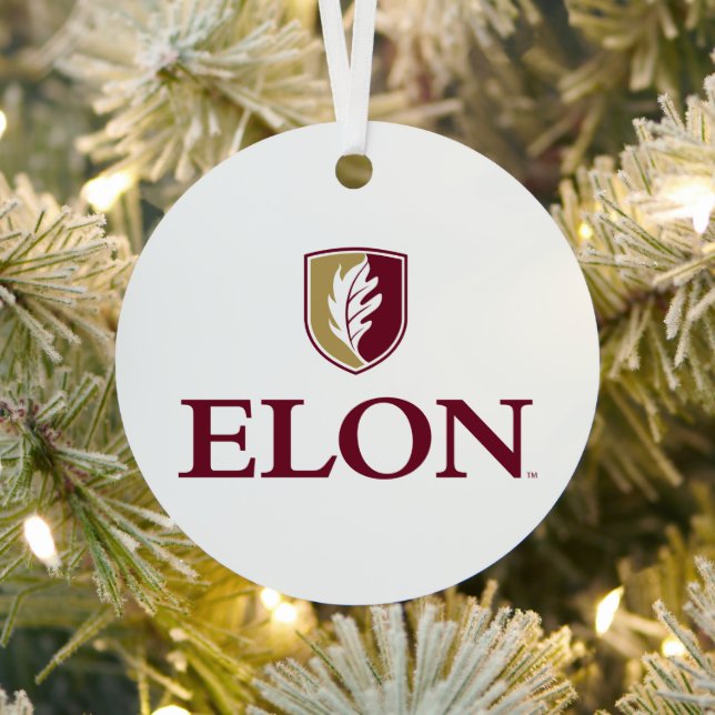 Ornement En Métal Elon (Insitu)