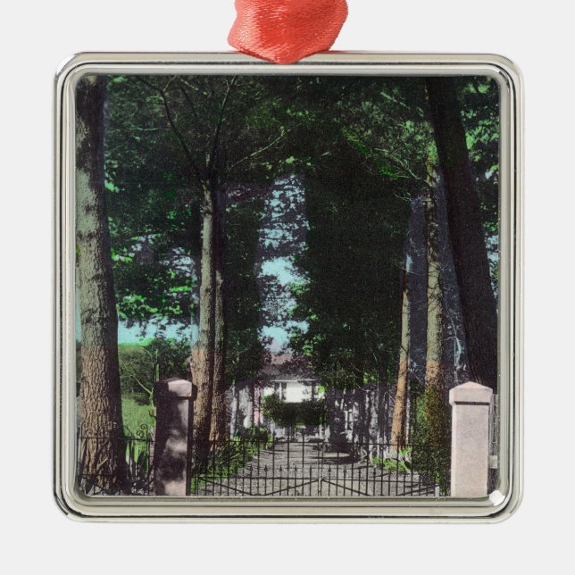 Ornement En Métal Entrée à la vue de Theodore Wagner de maison (Devant)