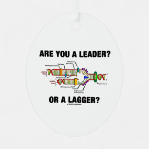 Ornement En Métal Es-Tu Un Leader ? Ou Un Plus Grand ? Réplication 