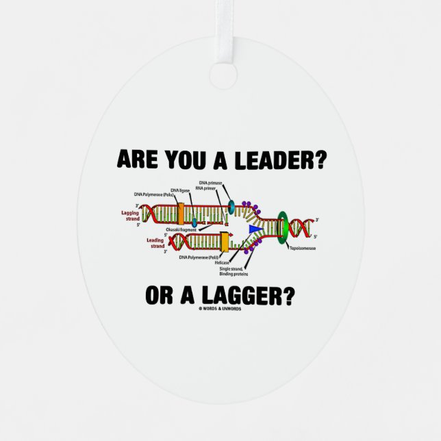 Ornement En Métal Es-Tu Un Leader ? Ou Un Plus Grand ? Réplication A (Recto)