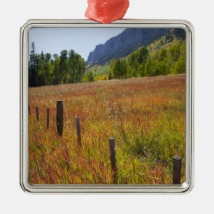 Ornement En Métal États-Unis, Colorado, Forêt nationale de San Juan,