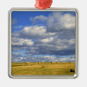 Ornement En Métal États-Unis, Nebraska, comté de Morrill. Foin doré