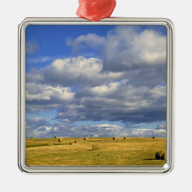 Ornement En Métal États-Unis, Nebraska, comté de Morrill. Héroïne do (Devant)