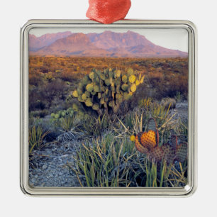 Ornement En Métal États-Unis, Texas, Big Bend NP. Un crépuscule rose