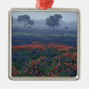 Ornement En Métal États-Unis, Texas, près de Lytle Fog, chênes, bleu