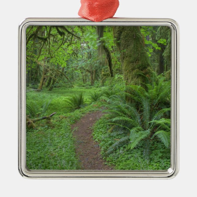 Ornement En Métal États-Unis, Washington, Olympic National Park, (Devant)