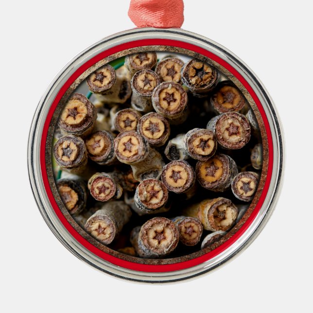 Ornement En Métal Etoiles le long du Rio Grande Cotton Wood Trees (Devant)