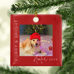 Ornement En Métal Fer et brillant | Arbre de Noël pour animaux<br><div class="desc">Inclure vos animaux de compagnie avec nos ornements de Noël 'Furry & Bright' ! Ces décorations amusantes arborent une image attachante de votre chien bien-aimé, un message de bienvenue modèle qui dit "Furry & Bright", et personnalisée avec votre nom d'animal de compagnie et l'année. Célébrez l'esprit de Noël et créez...</div>