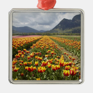 Ornement En Métal Ferme de tulipes près d'Agassiz, Colombie-Britanni