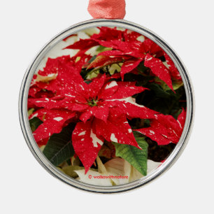 Ornement En Métal Festive Red White Floral Poinsettias