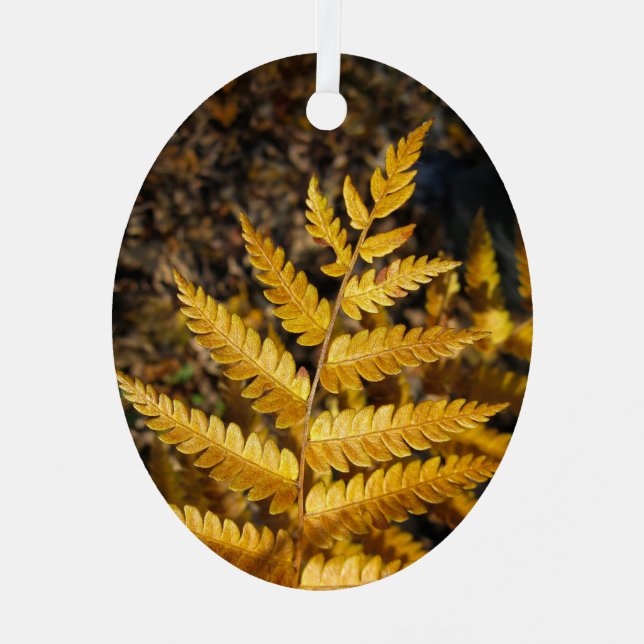 Ornement En Métal Feuilles Golden Yellow Fern (Recto)