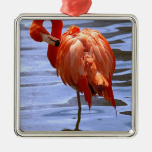 Ornement En Métal Flamant sur une jambe dans l'eau