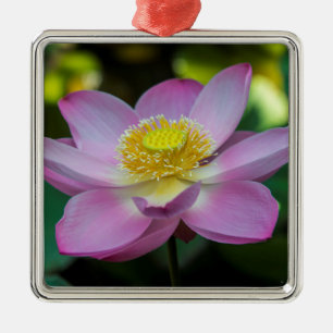 Ornement En Métal Fleur de lotus en fleurs, Indonésie