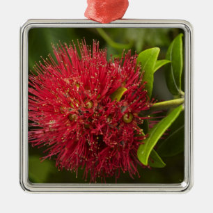 Ornement En Métal Fleur de Pohutukawa, Dunedin