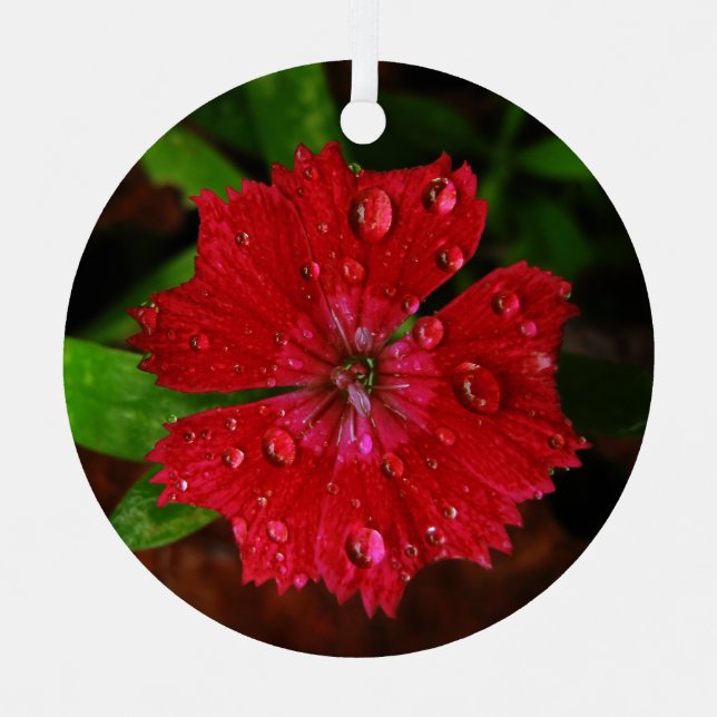 Ornement En Métal Fleur rouge avec Raindrop Photo (Recto)