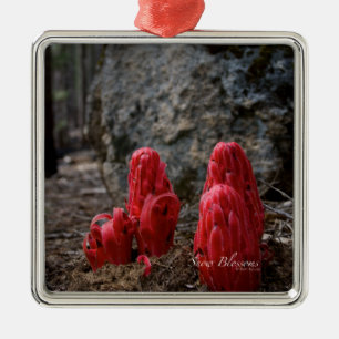 Ornement En Métal Fleurs de neige