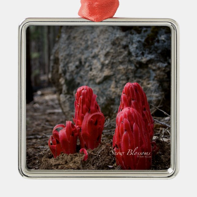 Ornement En Métal Fleurs de neige (Devant)