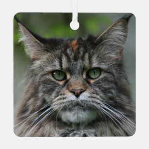 Ornement En Métal Fluffy Maine Coon Cat