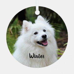 Ornement En Métal Fluffy White Spitz Chien chiot