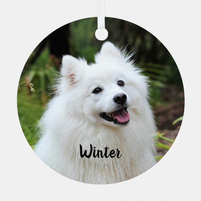 Ornement En Métal Fluffy White Spitz Chien chiot (Verso)