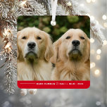 Ornement En Métal Funny Bark Humbug Chien Photo Noël Personnalisé<br><div class="desc">Célébrez les fêtes avec une touche d'humour et de charme avec notre Funny Bark Humbug Dog Photo Noël Ornement en métal personnalisé! Cet ornement ludique est parfait pour les propriétaires d'animaux de compagnie qui aiment mettre en valeur leurs amis en fureur avec un peu de saison. Avec l'élégante phrase "Bark...</div>