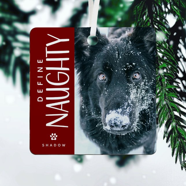 Ornement En Métal Funny Définir Naughty Animaux de compagnie photo K (Créateur téléchargé)