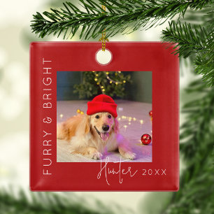 Ornement En Métal Furry & Bright Arbre de Noël Photo d'Animal de C