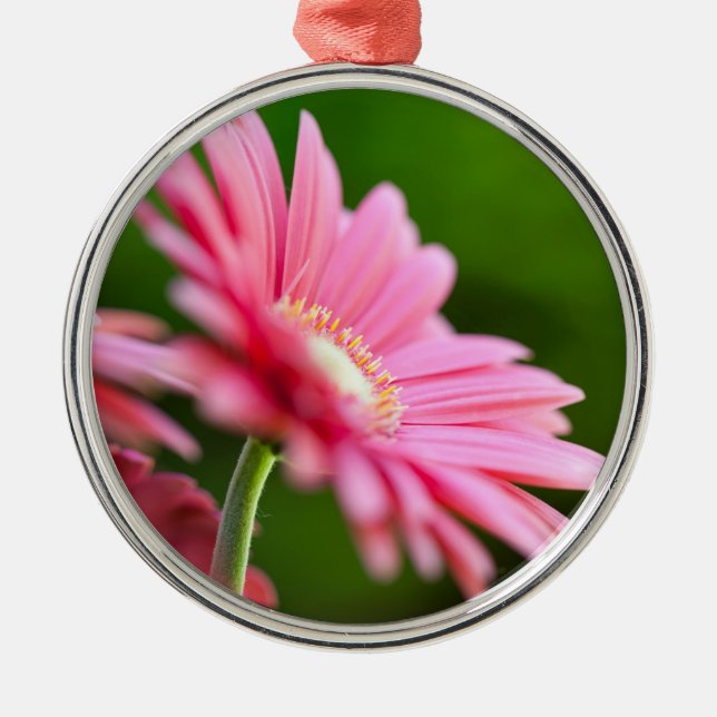 Ornement En Métal Gerbera Rose Daisy (Devant)