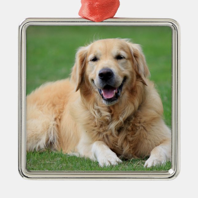 Ornement En Métal Golden Retriever Ornament de Noël métal personnali (Devant)