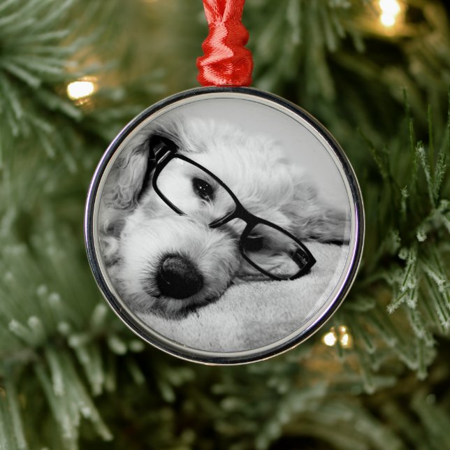 Ornement En Métal Goldendoodle With Glasses (Arbre)