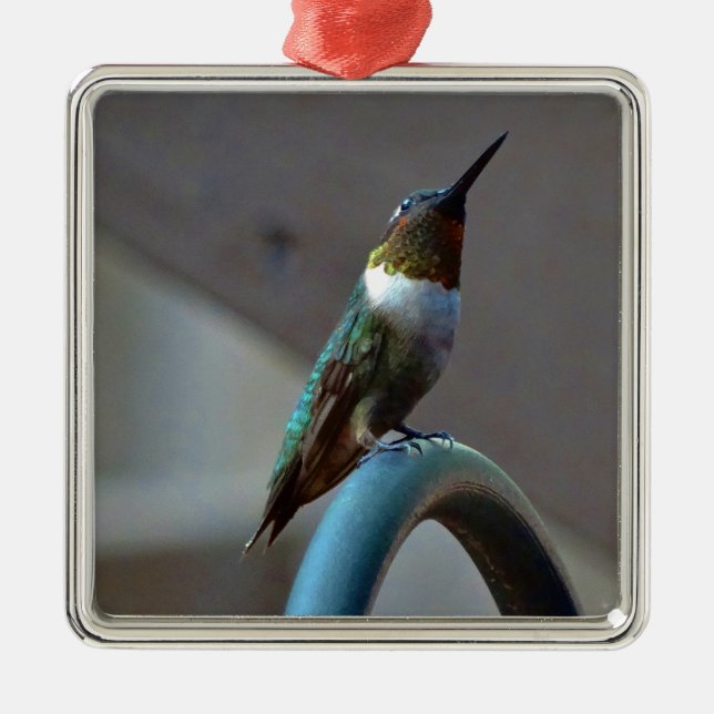 Ornement En Métal Green ruby little hummingbird (Devant)