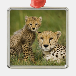 Ornement En Métal Guépard, Acinonyx jubatus, avec un petit