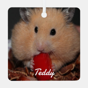 Ornement En Métal Hamster syrien pour animaux de compagnie - Hamster