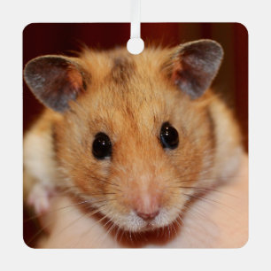 Ornement En Métal Hamster Syrien Pour Animaux - Hamster Standard - O