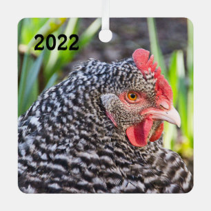 Ornement En Métal Hen de roche barrée - Poulet pour animaux de compa