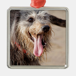 Ornement En Métal Heureux chien sur une plage