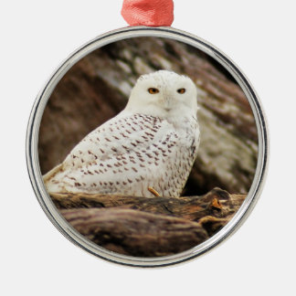 Ornement En Métal Hibou de Milou à Noël