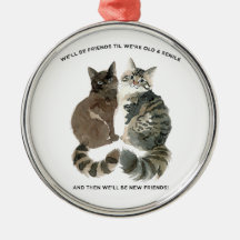 Humour vieillissant pour amis aimant les chats mar