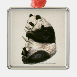 Ornement En Métal Illustration de panda géant alimentant sur le