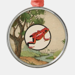 Ornement En Métal Illustration rouge d'habitat naturel de grenouille
