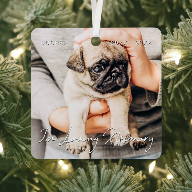 Ornement En Métal In Loving Memory Pet Memorial Simple Modern Photo (Insitu)