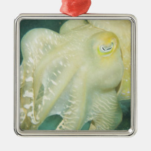 Ornement En Métal Indonésie, province de Sulawesi Sud, Wakatobi