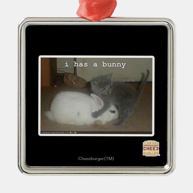 Ornement En Métal J'ai un lapin (Devant)