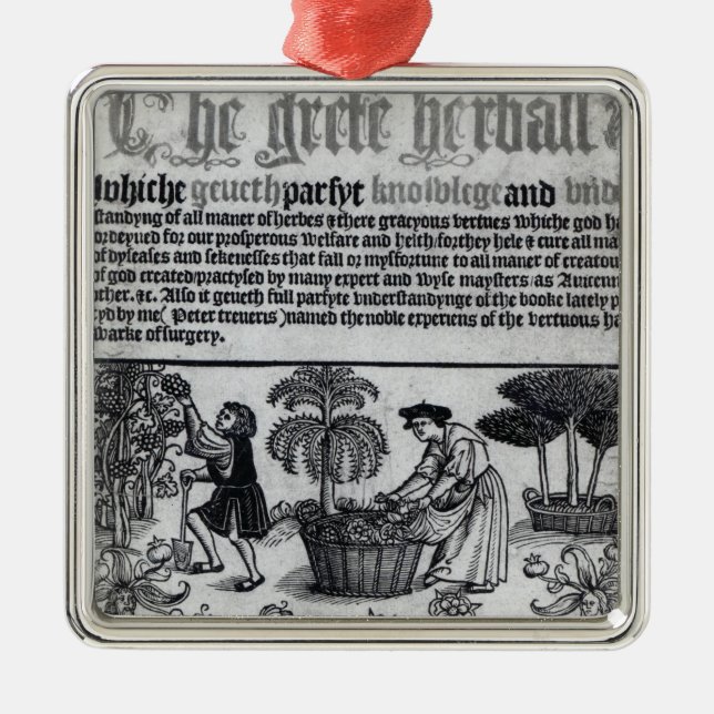 Ornement En Métal Jardin de herbes aromatiques médiéval (Devant)