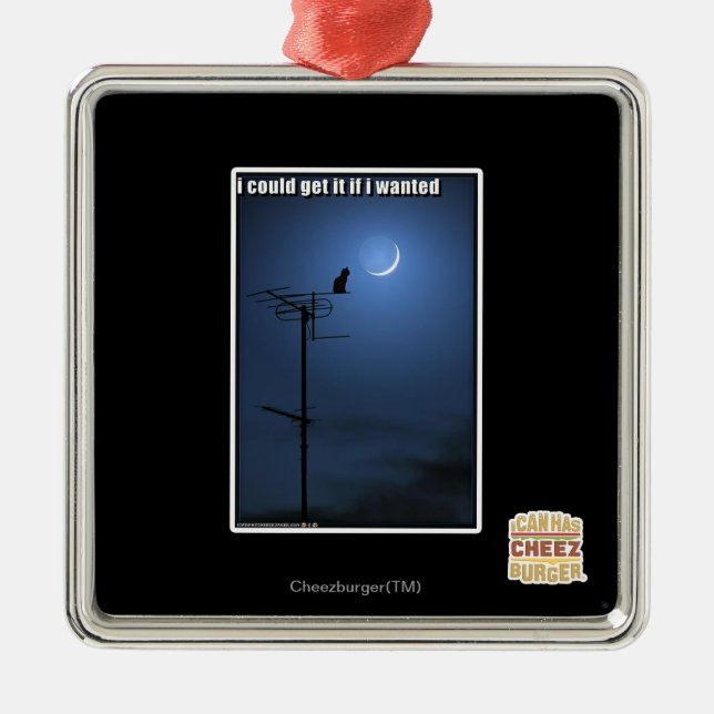 Ornement En Métal Je pourrais l'obtenir si je voulais (Devant)