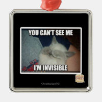 Je suis invisible