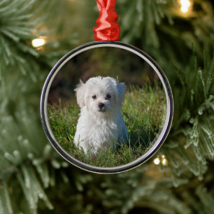 Ornement En Métal Joli chiot blanc