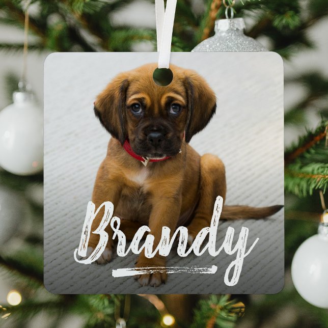 Ornement En Métal Jouer Lettering Pet Photo Noël (Créateur téléchargé)