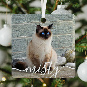 Ornement En Métal Jouer Script Pet Photo Noël