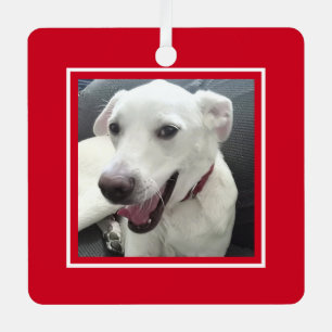 Ornement En Métal Joyeux Noël Drôle Souriant Chien Rouge Fête